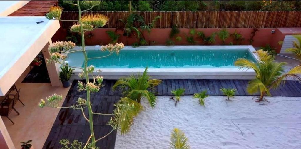 uma piscina no meio de um jardim em Disfruta en La Casa de Lola / Enjoy at Lolas house em Progreso