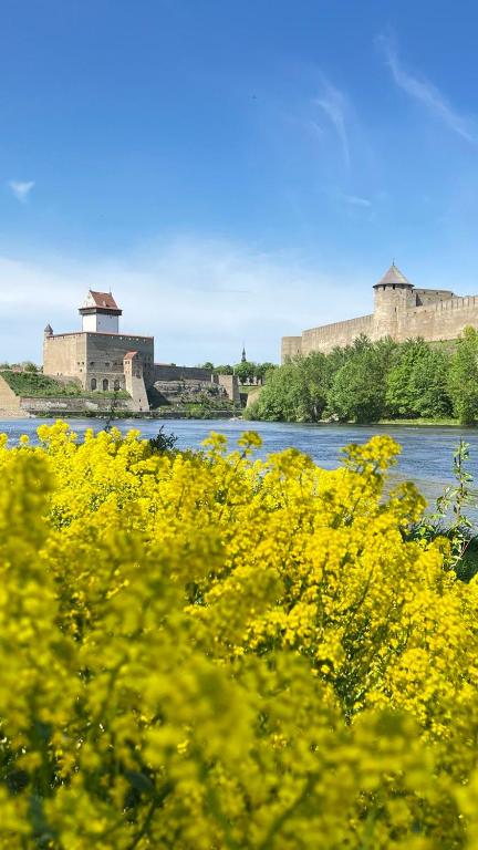Příroda nedaleko apartmánu