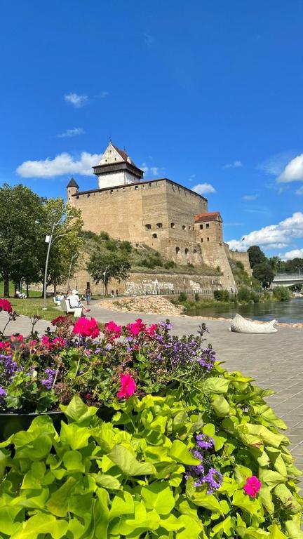 Příroda nedaleko apartmánu