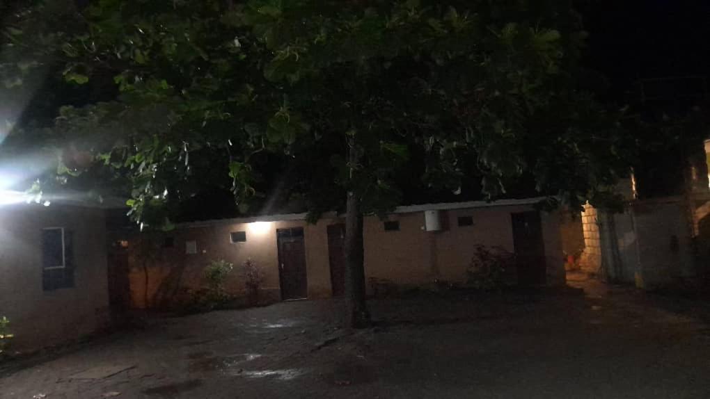 un árbol delante de un edificio por la noche en Makambo-te Makuti Cottage en Arusha