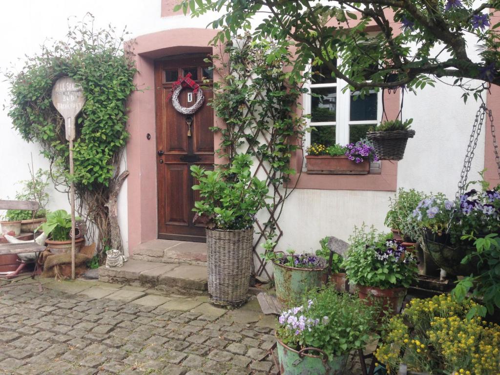 a house with potted plants in front of a door at All Seasons Bed & Breakfast in Kerpen