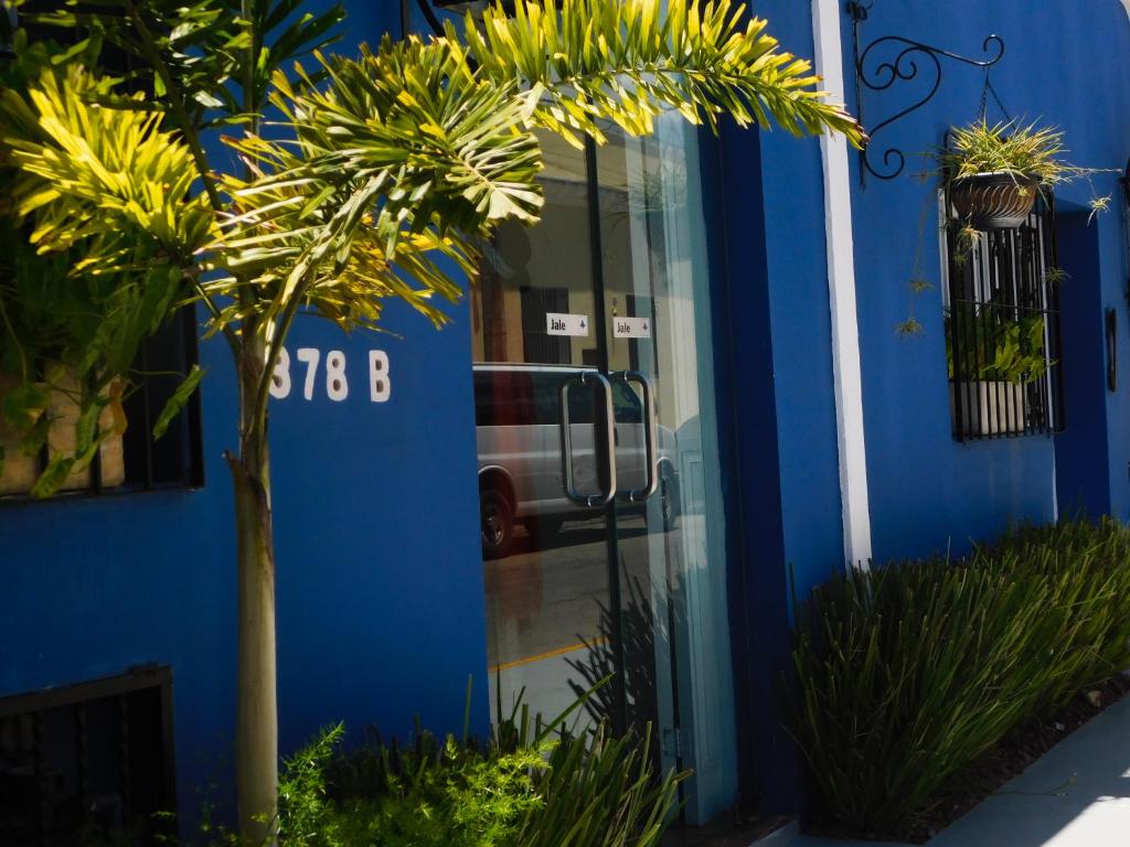 a blue building with a palm tree in front of a door at Hotel Boutique Casa Flor de Mayo in Mérida