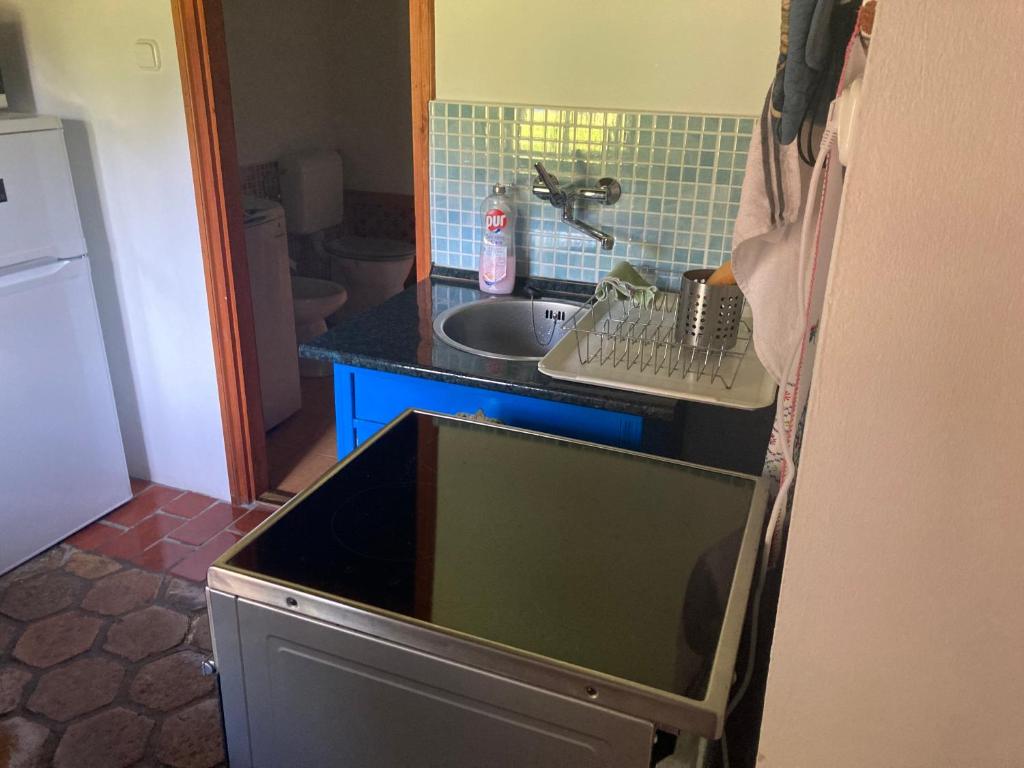 Kuchyň nebo kuchyňský kout v ubytování Berkenye Fogadó
