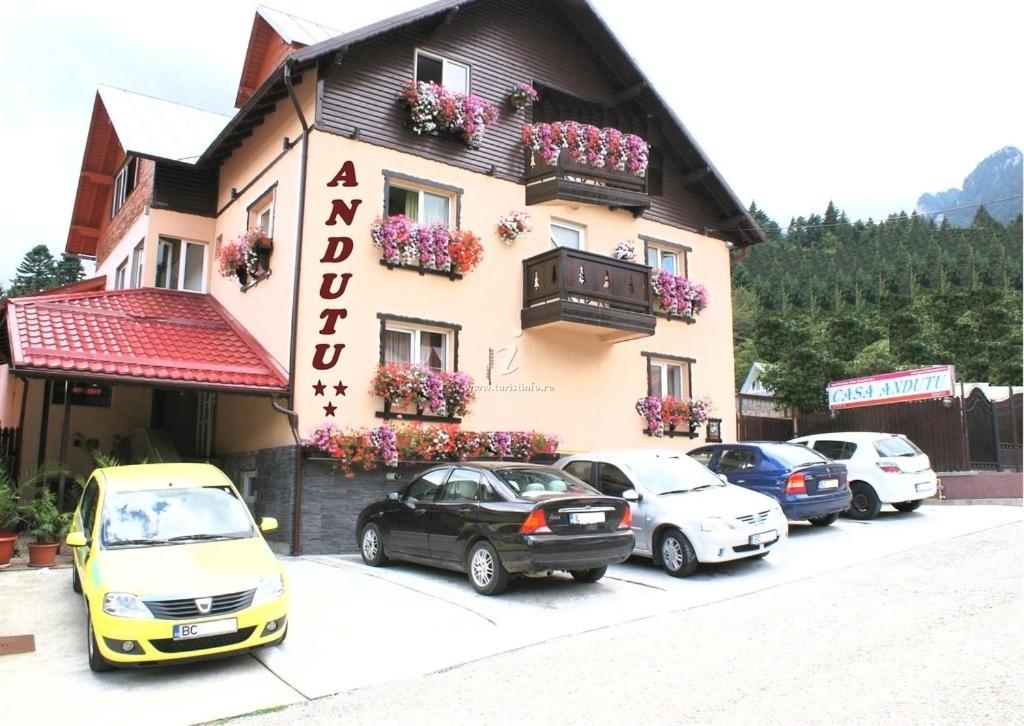 a hotel with cars parked in front of it at Vila Andutu in Buşteni