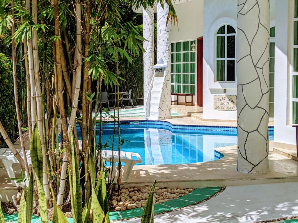 uma piscina com palmeiras em frente a uma casa em Castillo Playacar Fase 1 9br 3Kitchen Pool walk to Beach 5th Ave 25max em Playa del Carmen