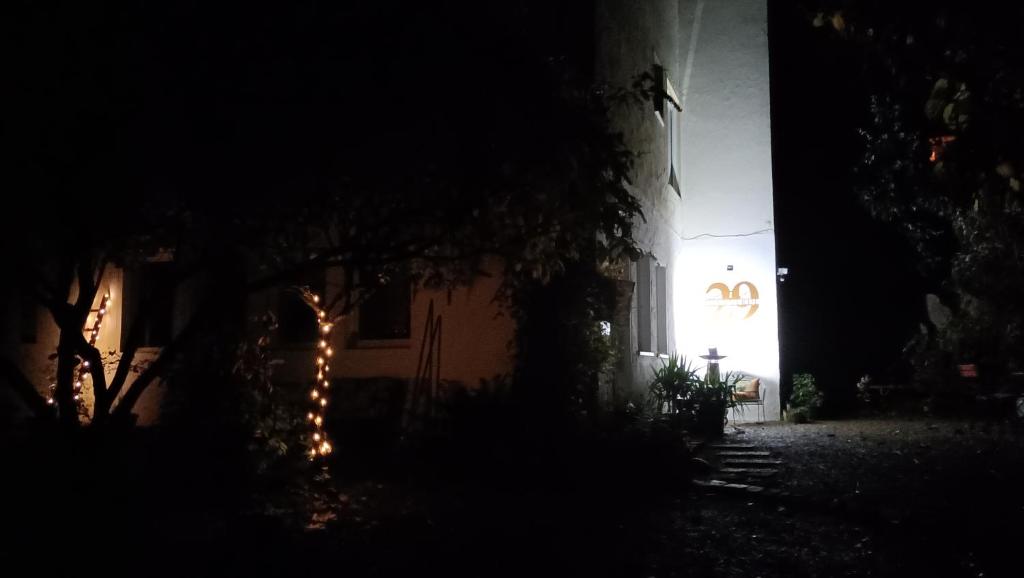 Zahrada ubytování Casa Verde Sinnerthal