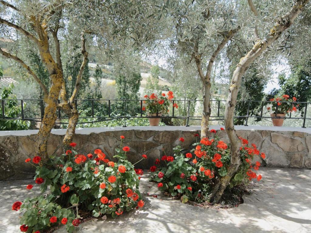Vonkajšia záhrada v ubytovaní Belvilla by OYO Cortijo Los Olivos