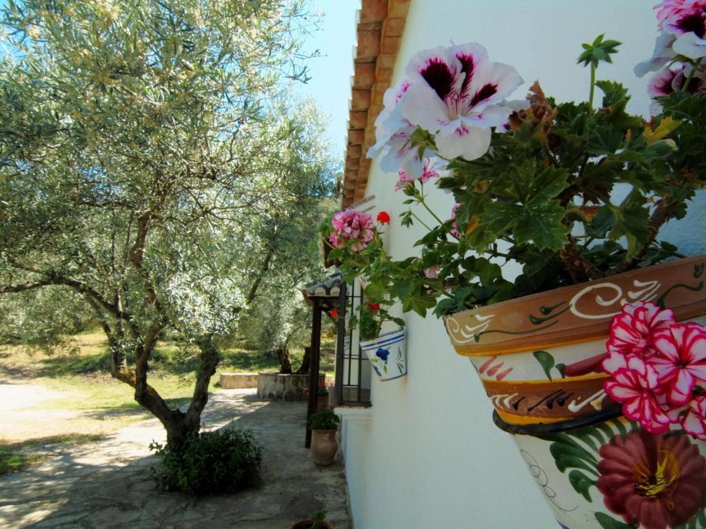 Vonkajšia záhrada v ubytovaní Belvilla by OYO Cortijo Los Olivos