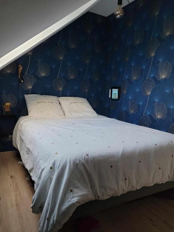 Postel nebo postele na pokoji v ubytování Petit cocon à 100m de la plage