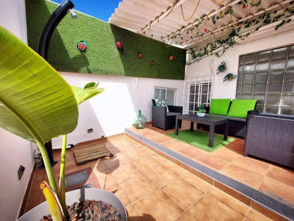 an indoor garden with a climbing wall in a living room at Casa BIMBA Agaete con terraza y ducha exterior in Agaete