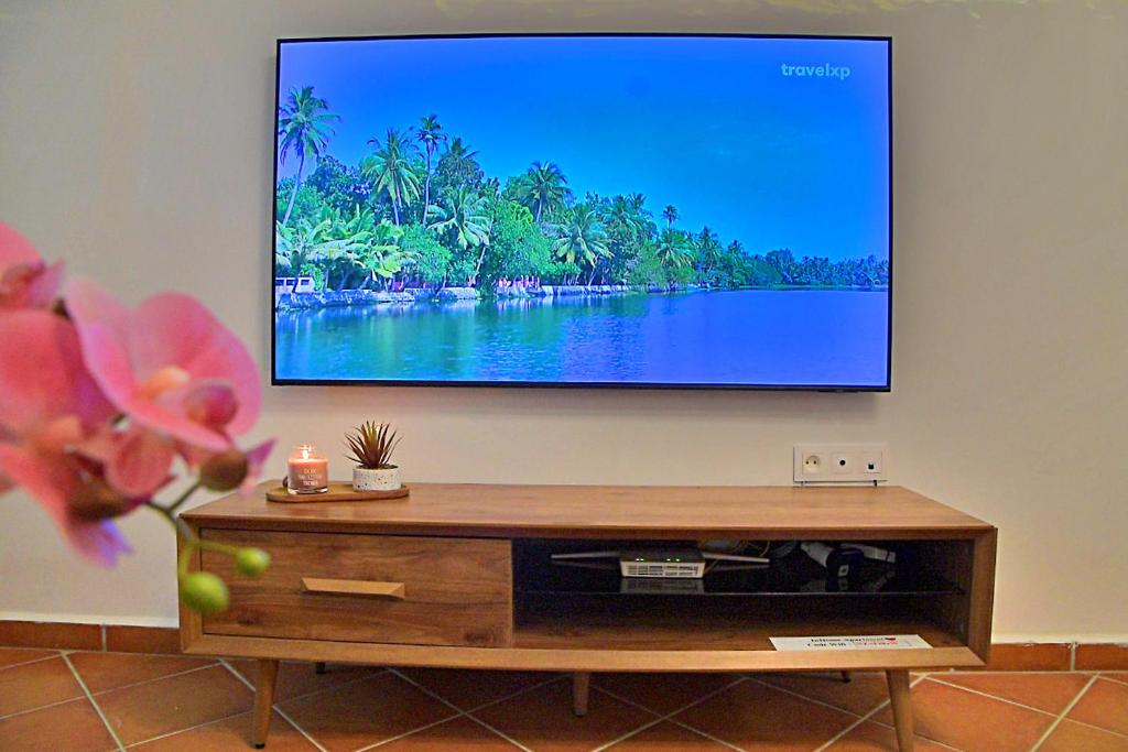 TV a/nebo společenská místnost v ubytování InHome Apartment