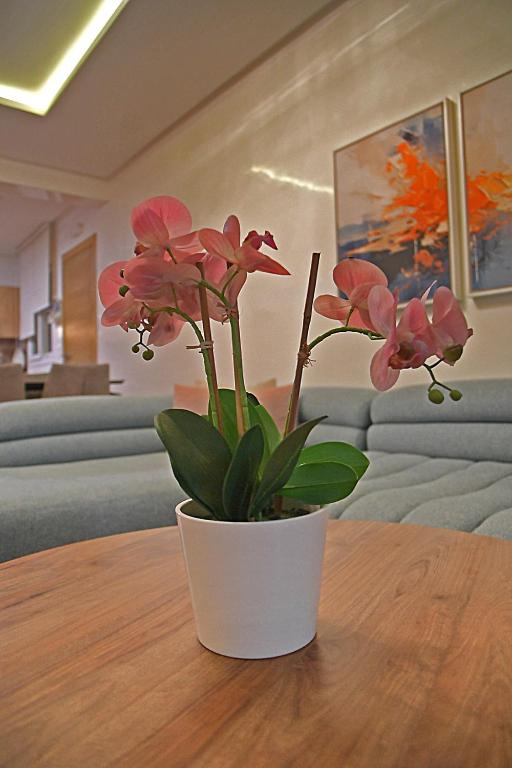 Fotografie z fotogalerie ubytování InHome Apartment v destinaci Cabo Negro