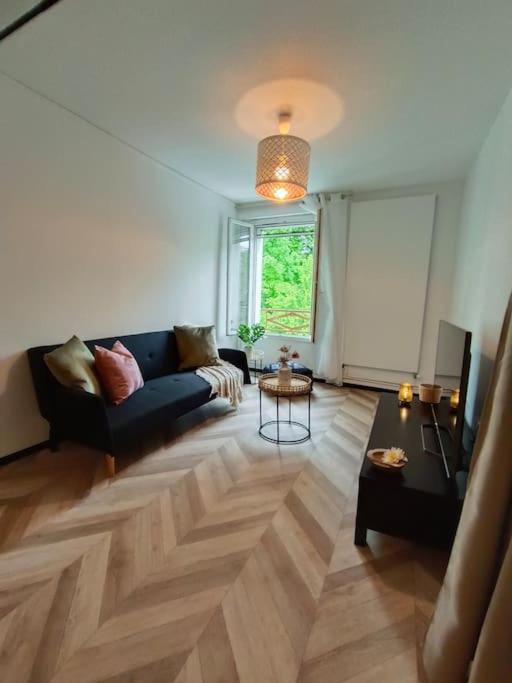un salon avec un canapé et une table dans l'établissement Gite BA2 Epernay Centre vue sur parc, à Épernay
