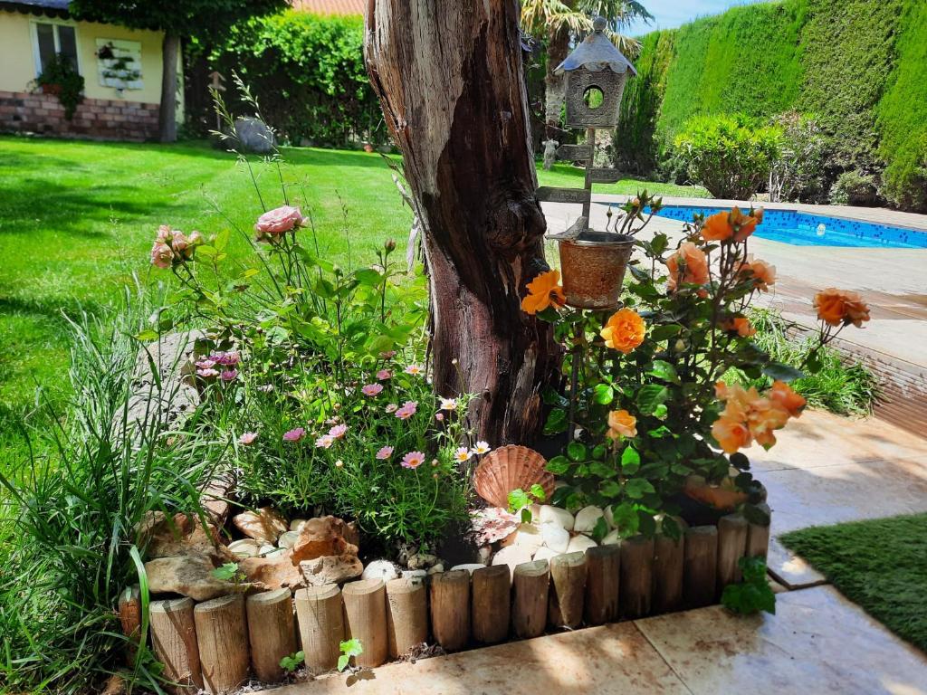 um jardim com flores à volta de uma árvore num quintal em CASA BLANCA em Ciudad Real