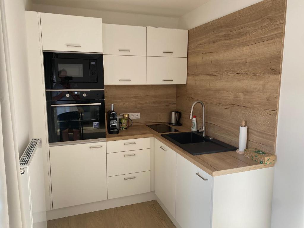 Apartmány v Javorné na Šumavě - 3