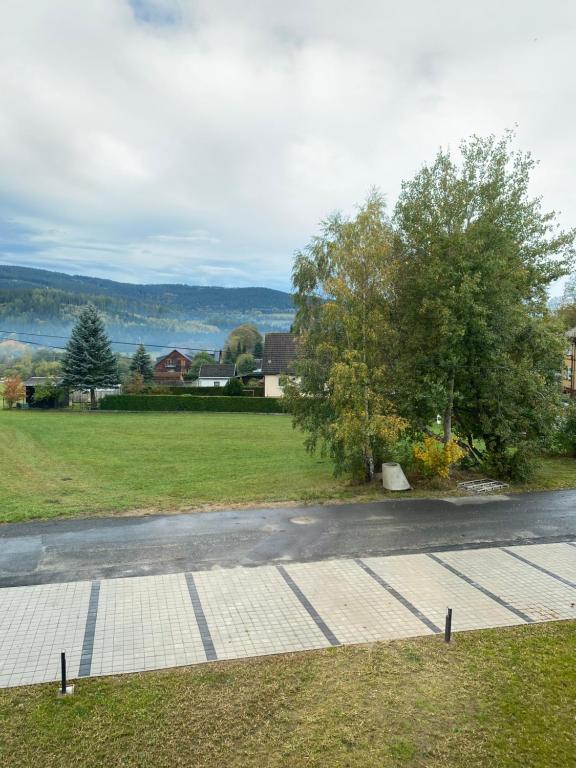 Apartmány v Javorné na Šumavě - 18