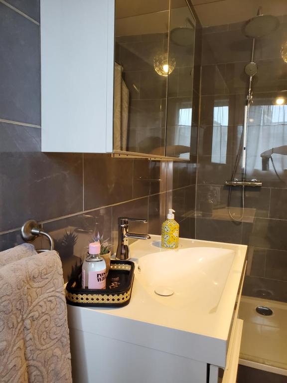 W łazience znajduje się umywalka i lustro. w obiekcie Gite BA2 Epernay Centre vue sur parc w Épernay