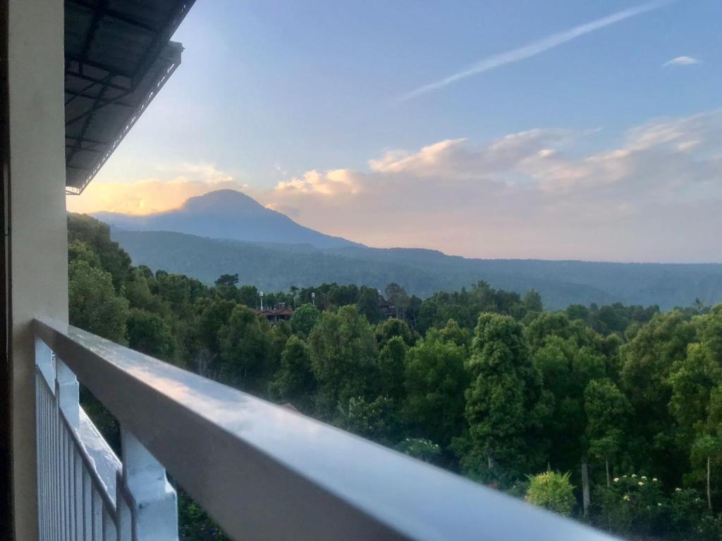 Příroda nedaleko hotelu