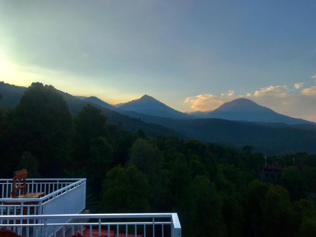 Příroda nedaleko hotelu