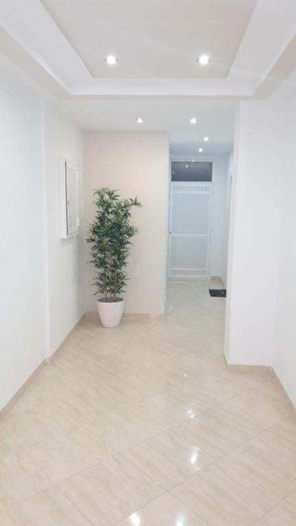 una stanza bianca con una pianta in vaso di Bonito apartamento en Barrio Calvo Sotelo a Melilla
