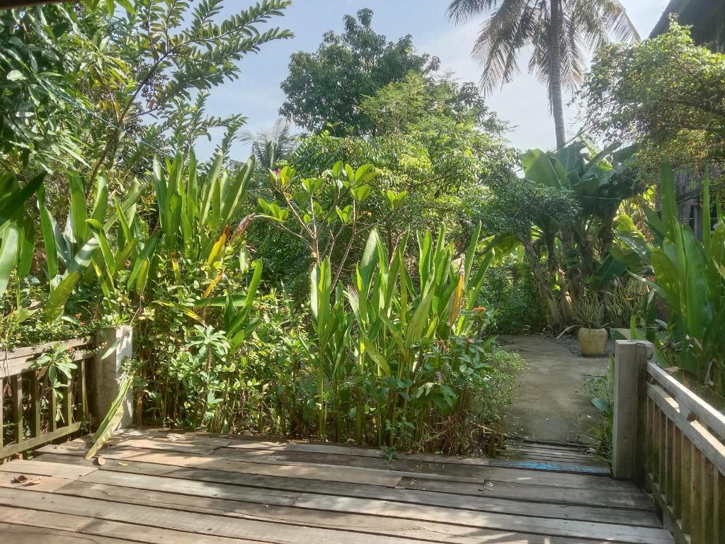 Zahrada ubytování O'hamok family homestay