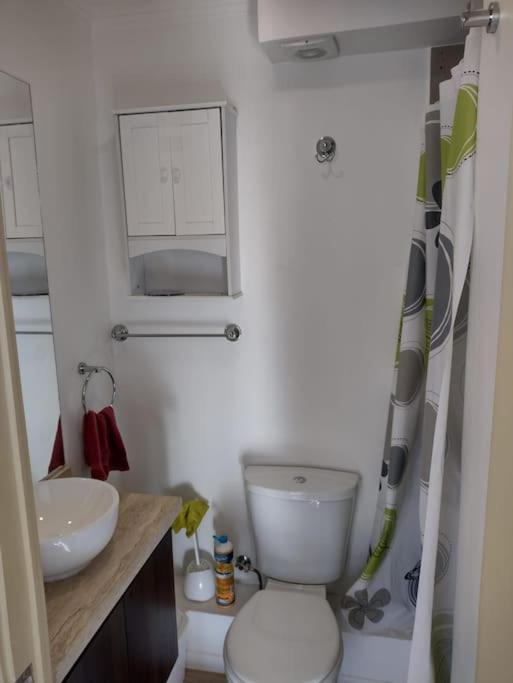 a bathroom with a white toilet and a sink at Monoambiente hermosa vista in Concepción