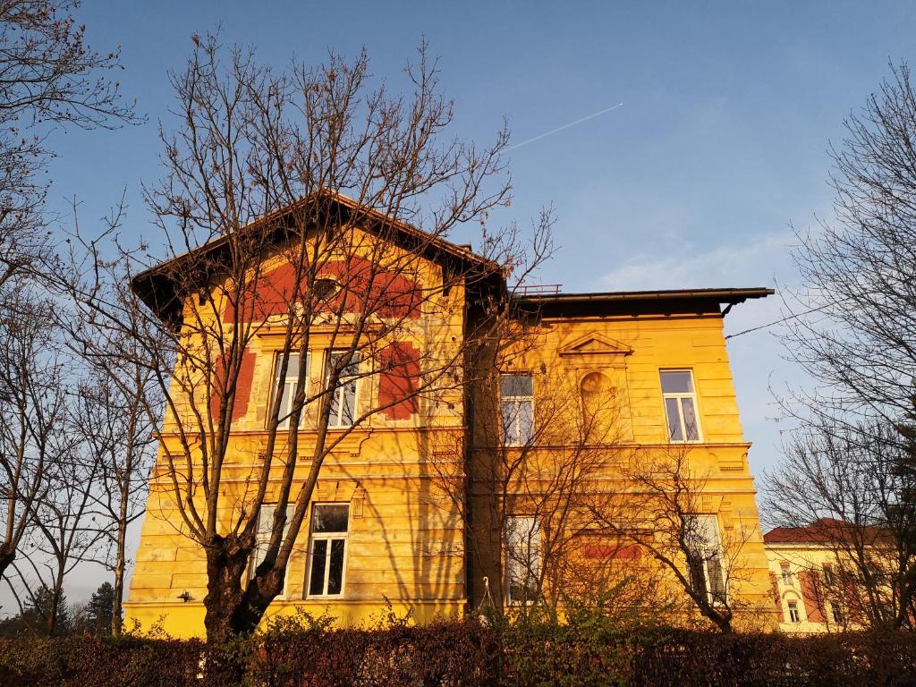 un grand bâtiment jaune avec un arbre devant lui dans l'établissement VV ART, unique Vila in Ljubljana city center, à Ljubljana