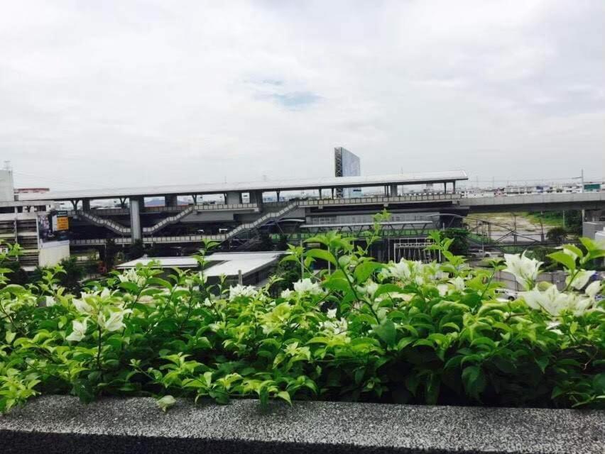 a garden with white flowers in front of a ballpark at The Trust @BTS Chang Erawan. in Ban Bang Yai