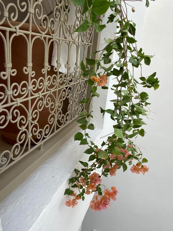Fotografie z fotogalerie ubytování Private house Riad Arlette exclusive v Marrákéši