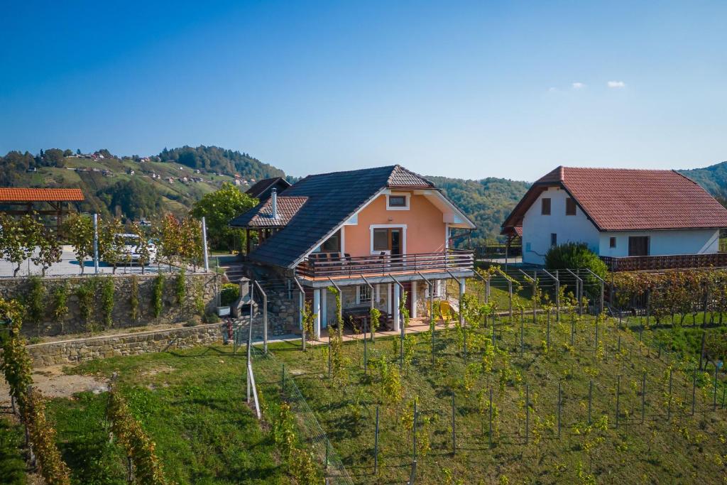 a home in a vineyard with a house at Vineyard Cottage Urban - Happy Rentals in Mirna