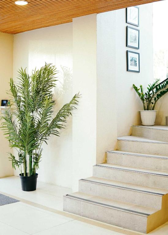 a set of stairs with plants in a lobby at Travelbee Airport Inn in Mactan