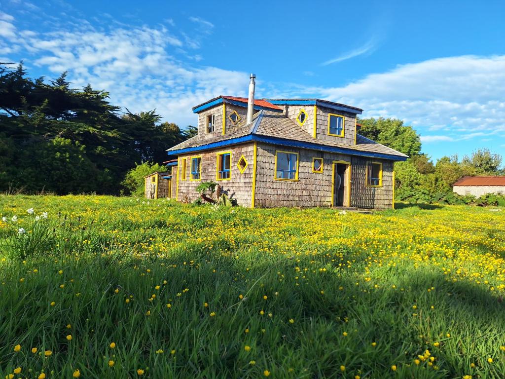 an old house in a field of grass at La Casa de Alerce in Chacao