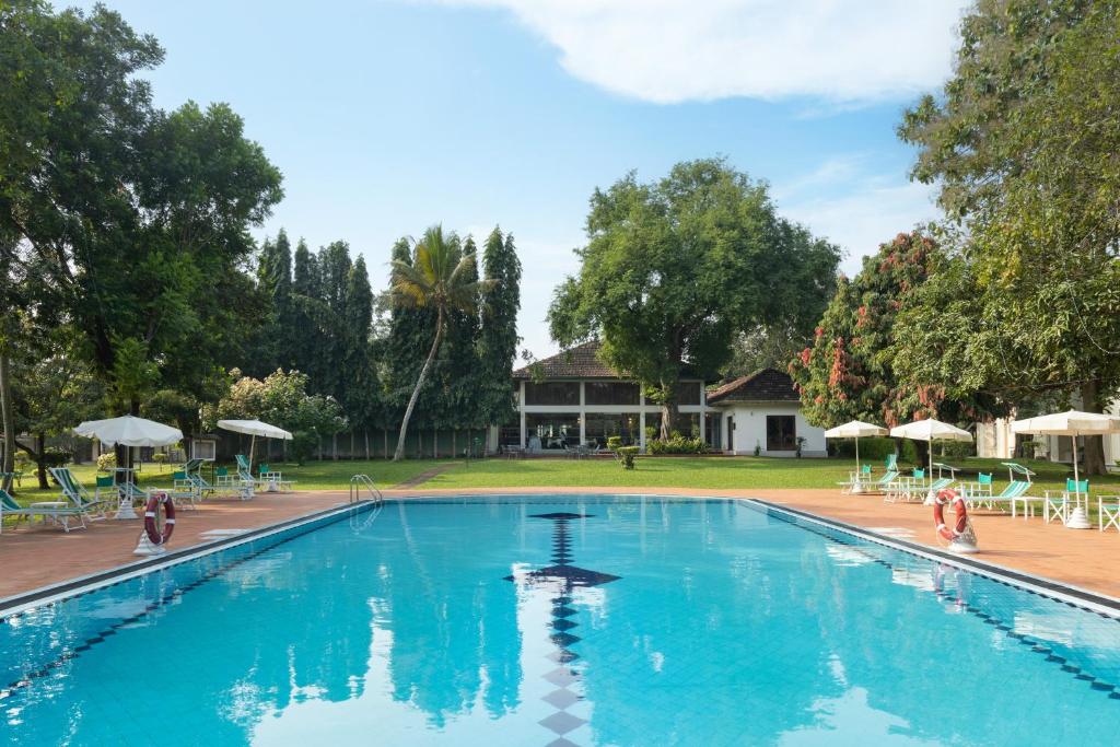 a large swimming pool with chairs and umbrellas at Tamarind Tree Garden Resort - Katunayake in Negombo