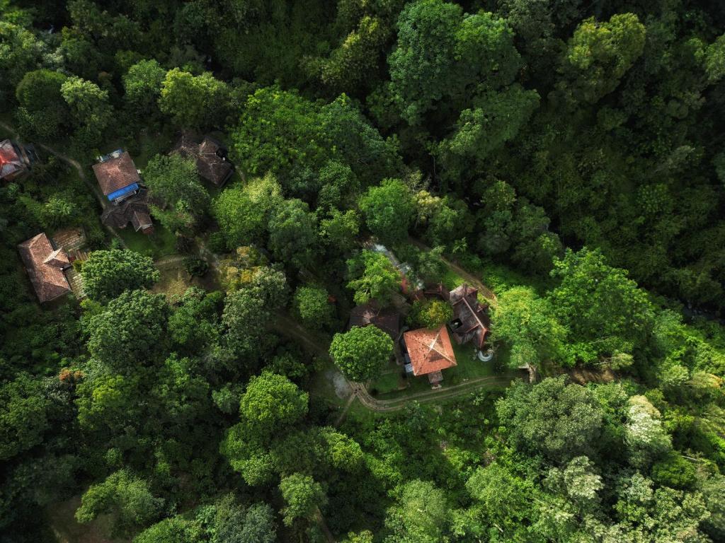 an aerial view of a forest with houses and trees at Mahout Resort Wayanad - An Experiential Jungle Stay with Waterfall in Kalpetta