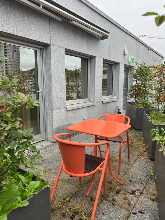 LivingTown - Resim 24