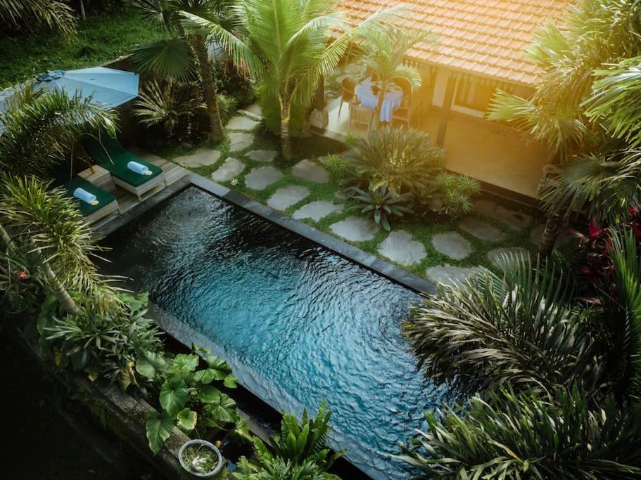 an overhead view of a pool with palm trees and a house at Cozy Jungle View 1-Bedroom Villa with Private Pool in Ubud