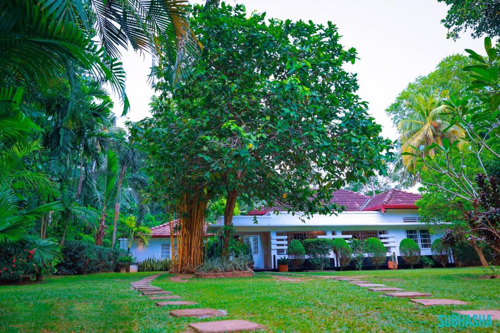 una casa con un árbol en medio de un patio en Subhasha Summer House, en Talalla South