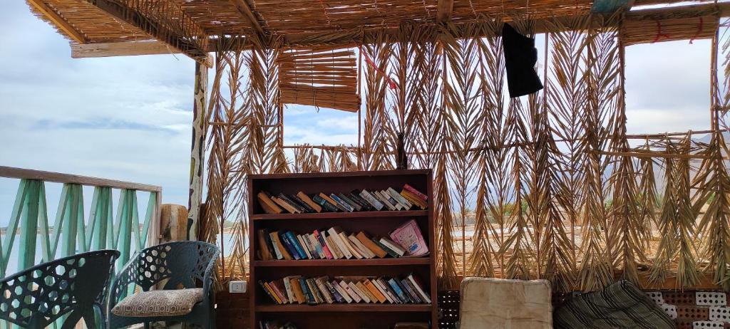 uma estante cheia de livros numa sala em Michael's House em Nuweiba