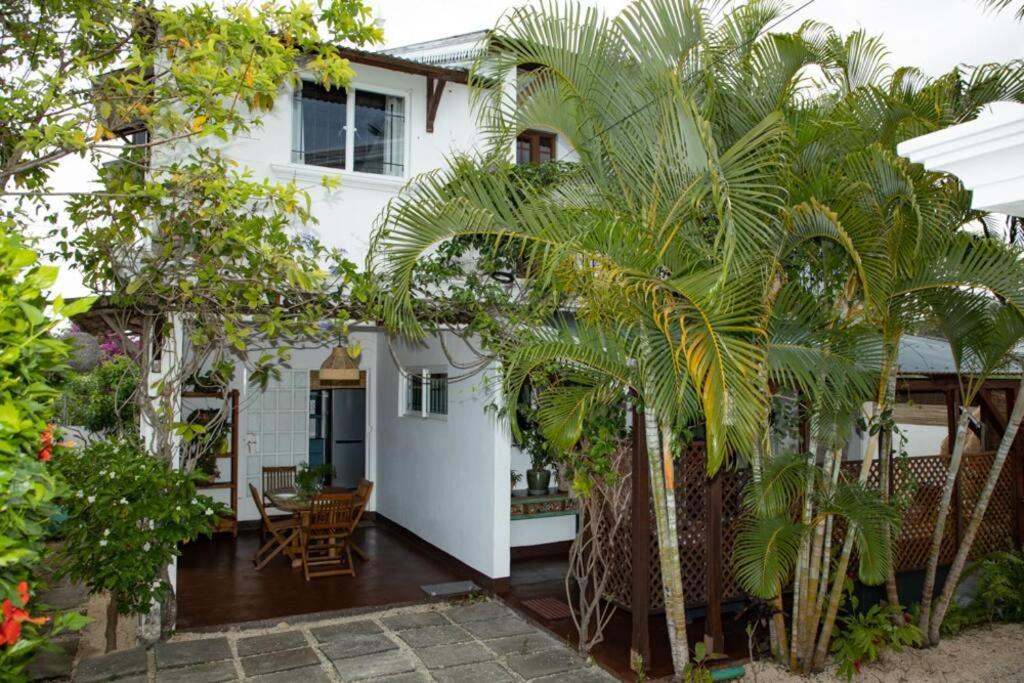 uma casa branca com palmeiras em frente em SANDY LANE COTTAGE em Tamarin