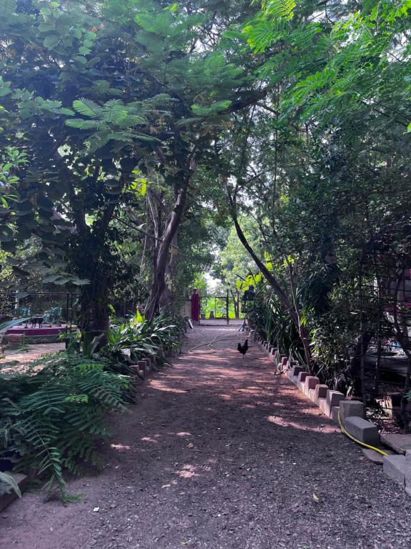 Zahrada ubytování Sharad Baug homestay