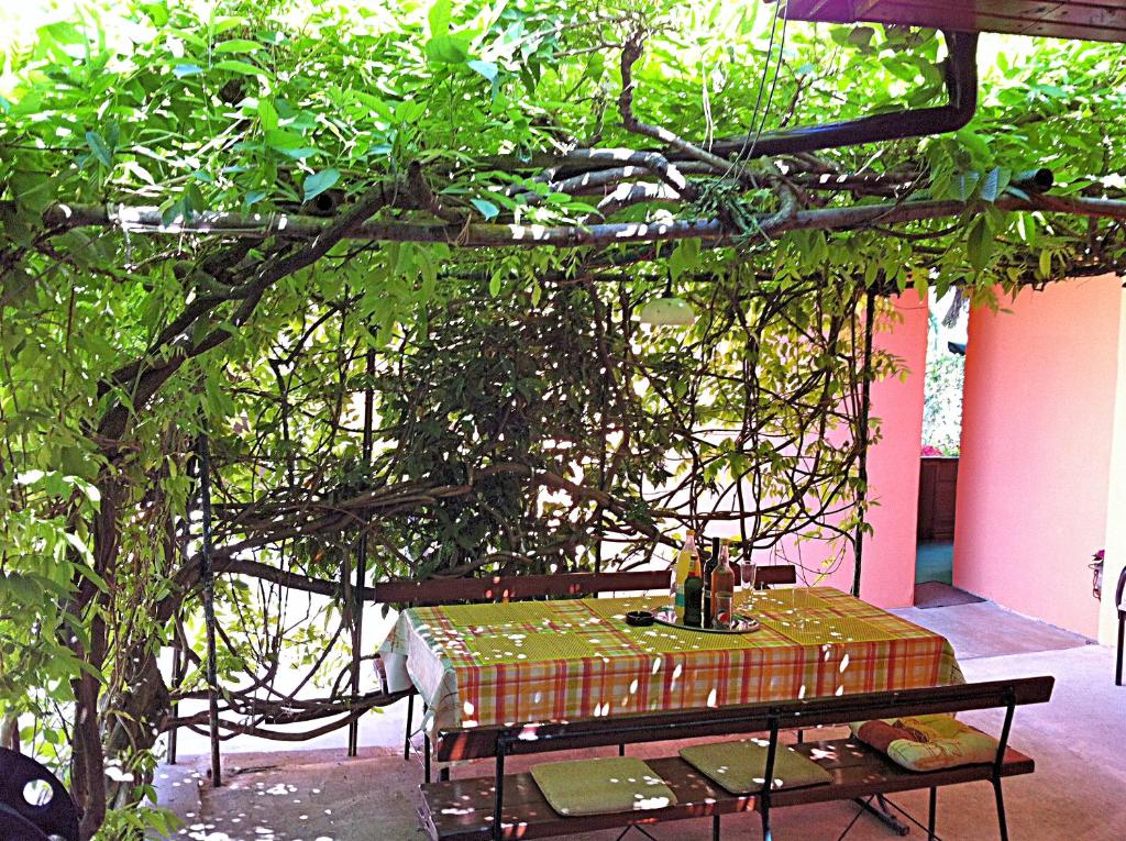 Ogród w obiekcie Villa Rose Apartment