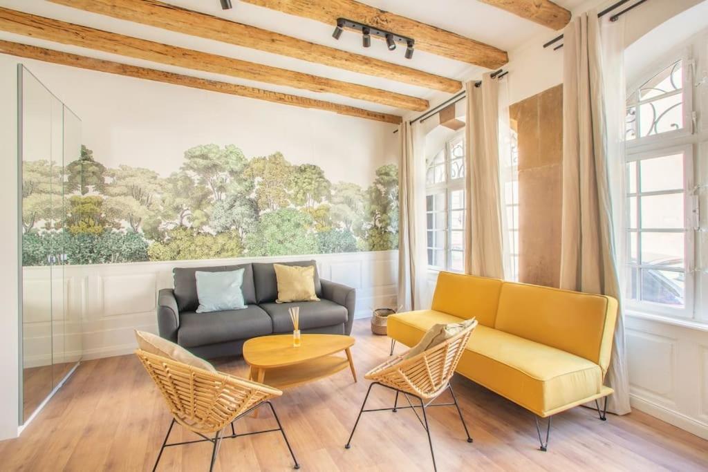 un salon avec un canapé, des chaises et une table dans l'établissement La Halte Strasbourgeoise - Superbe appt près de la Petite France, à Strasbourg