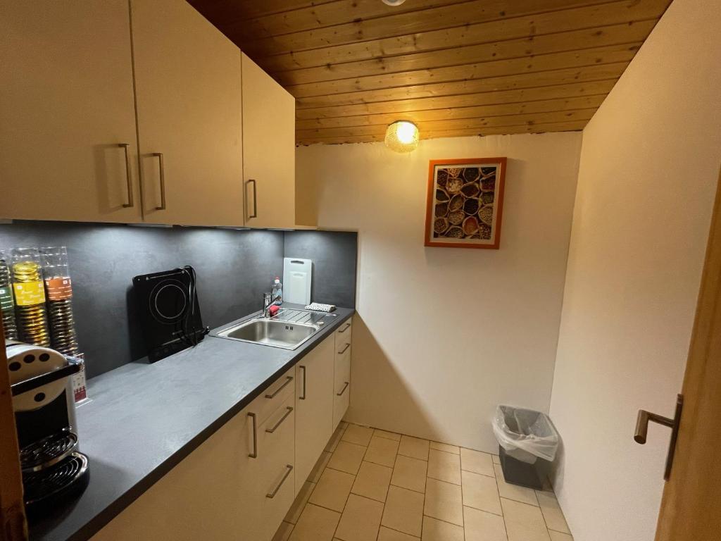 Kuchyň nebo kuchyňský kout v ubytování Garni Bärenwirt