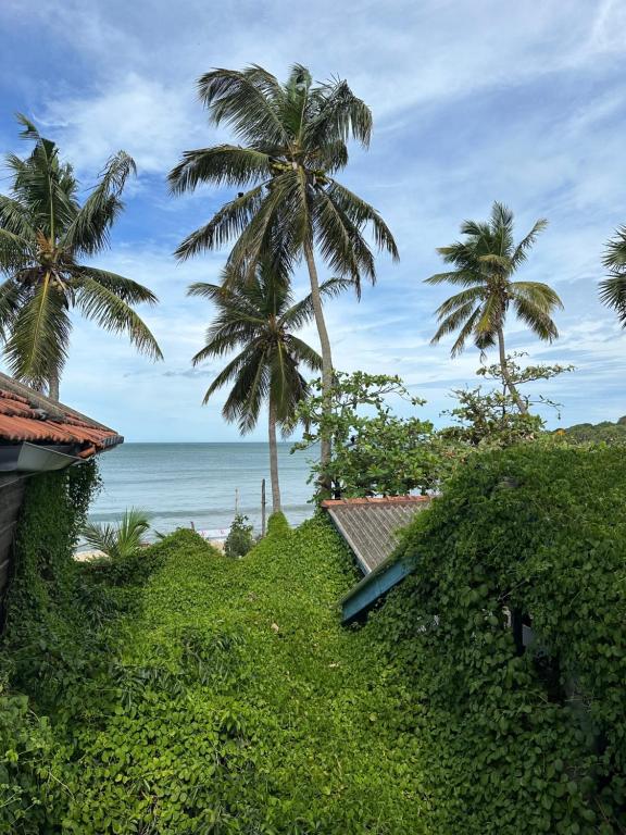 uma vista para uma praia com palmeiras e para o oceano em Arugamabay Surf Resort em Arugam Bay