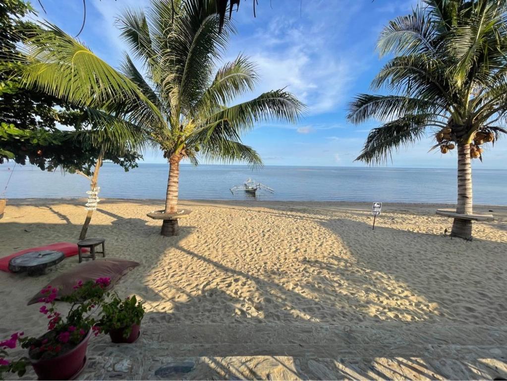 piaszczystą plażę z palmami i oceanem w obiekcie Mecaja Beach House w mieście Roxas
