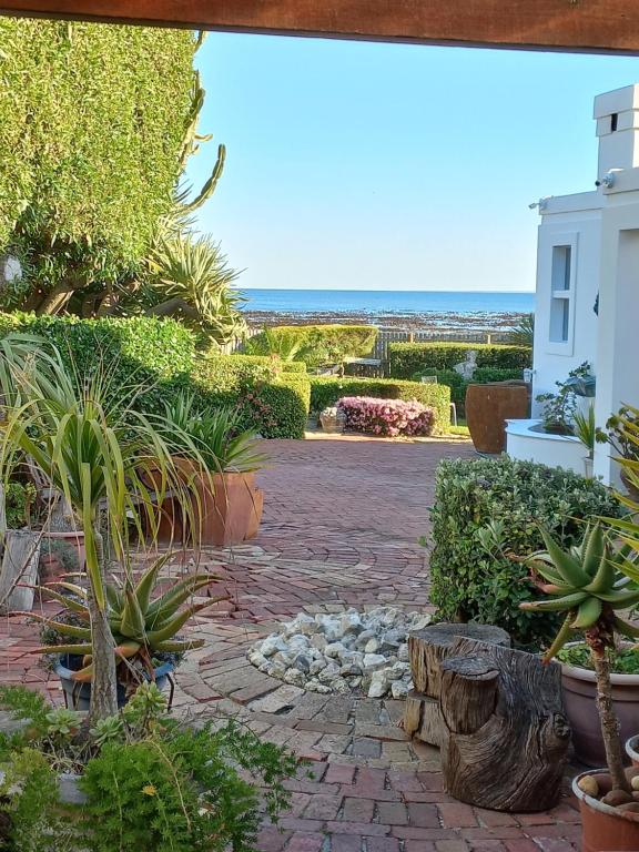 a garden with plants and the ocean in the background at Alcamal in Cape Town