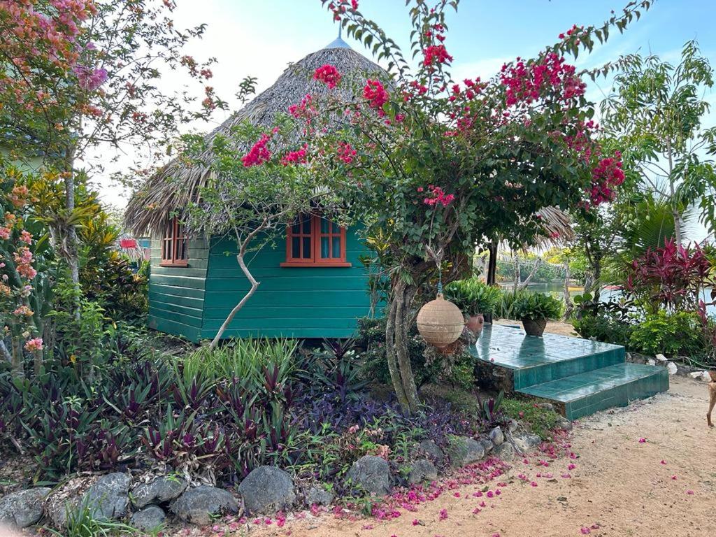 a small green house with a thatch roof at Little Bay Bungalow in Little Bay