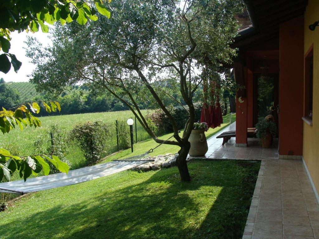 Zahrada ubytování B&B Sweet Dreams