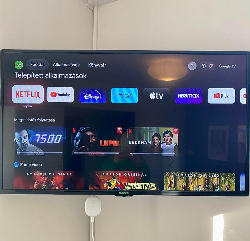 TV a/nebo společenská místnost v ubytování Lake Apartment