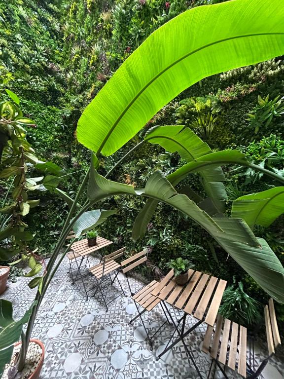 Hotel BH San Francisco Alicante - Resim 12